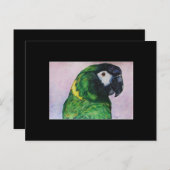 Yellow Collared Macaw ACEO Art Trading Card Postkarte (Vorne/Hinten)