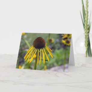 Yellow Coneflower Blank Note Card Karte