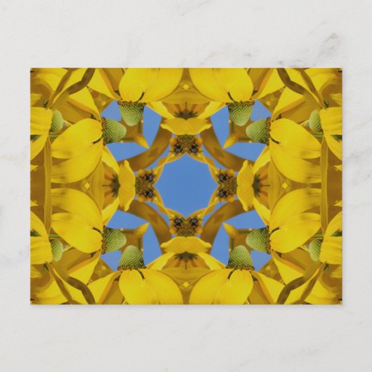 Yellow Coneflowers Kaleidoskop Blume Postcar Postkarte (Vorderseite)