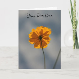 Yellow Coreopsis Karte