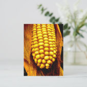 Yellow Cornsilk Cob Husks Cornsilk Good Harvest Postkarte (Stehend Vorderseite)
