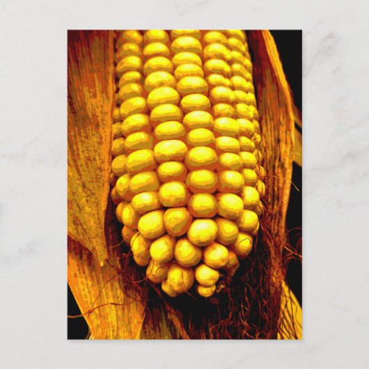 Yellow Cornsilk Cob Husks Cornsilk Good Harvest Postkarte (Vorderseite)