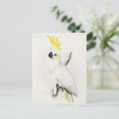 Yellow Crested Cockatoo Postcard Postkarte (Stehend Vorderseite)