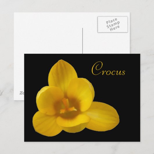 Yellow Crocus Anpassbare Postkarte (Vorne/Hinten)