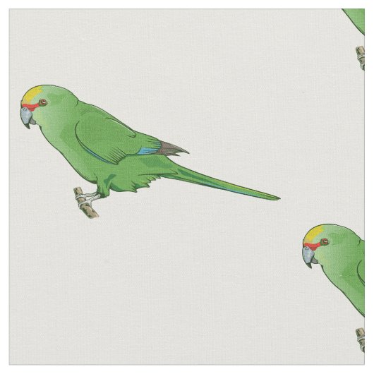 Yellow Crowned Kakariki Stoff (Nahaufnahme)