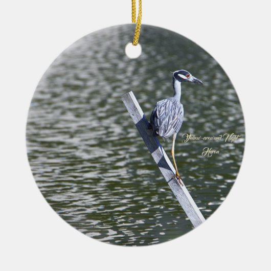 Yellow-Crowned Night Heron Ornament (Vorne)