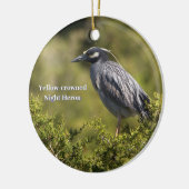 Yellow-Crowned Night Heron Ornament (Links)