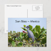 Yellow Crowned Night Heron Postkarte (Vorne/Hinten)