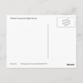 Yellow Crowned Night Heron Postkarte (Rückseite)