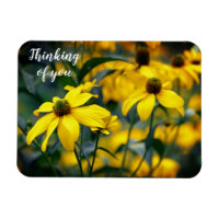 Yellow Cut Leaf Coneflower Denken Sie an Sie