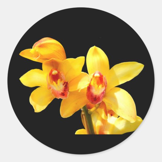 Yellow Cymbidium Orchid Stickers (Vorderseite)