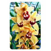 Yellow Cymbidium Orchius Magnet (Vertikal)