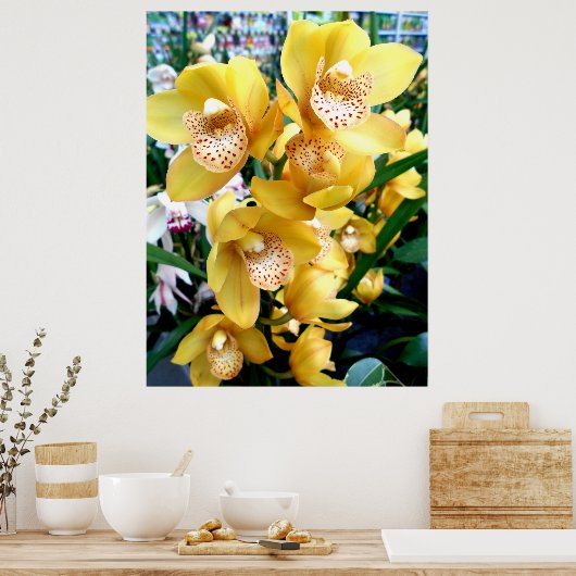 Yellow Cymbidium Orchius Poster (Küche)