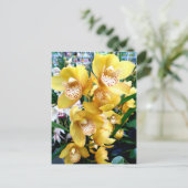 Yellow Cymbidium Orchius Postkarte (Stehend Vorderseite)