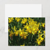 Yellow Daffodien I Cheery Spring Blumen (Vorne/Hinten)