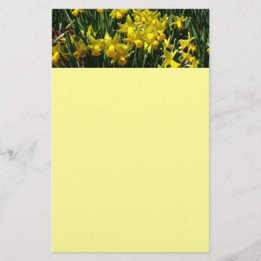 Yellow Daffodien I Cheery Spring Blumen Briefpapier (Vorderseite)