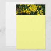 Yellow Daffodien I Cheery Spring Blumen Briefpapier (Vorne/Hinten)