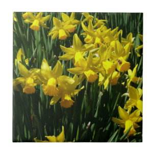 Yellow Daffodien I Cheery Spring Blumen Fliese