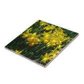 Yellow Daffodien I Cheery Spring Blumen Fliese (Seite)