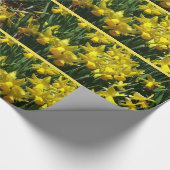 Yellow Daffodien I Cheery Spring Blumen Geschenkpapier (Ecke)