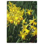 Yellow Daffodien I Cheery Spring Blumen Klemmbrett (Rückseite)