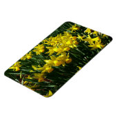 Yellow Daffodien I Cheery Spring Blumen Magnet (Linke Seite)