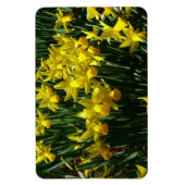 Yellow Daffodien I Cheery Spring Blumen Magnet (Vertikal)
