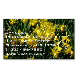 Yellow Daffodien I Cheery Spring Blumen Magnetische Visitenkarte