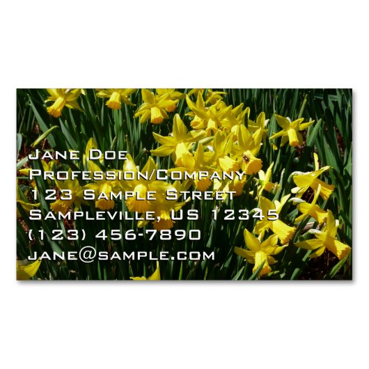 Yellow Daffodien I Cheery Spring Blumen Magnetische Visitenkarte (Vorderseite)