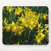 Yellow Daffodien I Cheery Spring Blumen Mousepad (Vorne)