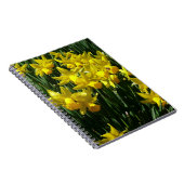 Yellow Daffodien I Cheery Spring Blumen Notizblock (Rechte Seite)