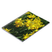 Yellow Daffodien I Cheery Spring Blumen Notizblock (Linke Seite)