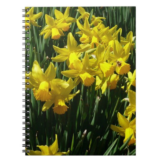 Yellow Daffodien I Cheery Spring Blumen Notizblock (Vorderseite)