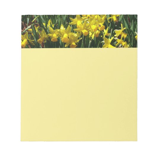 Yellow Daffodien I Cheery Spring Blumen Notizblock (Vorderseite)