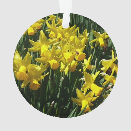 Yellow Daffodien I Cheery Spring Blumen Ornament (Rückseite)