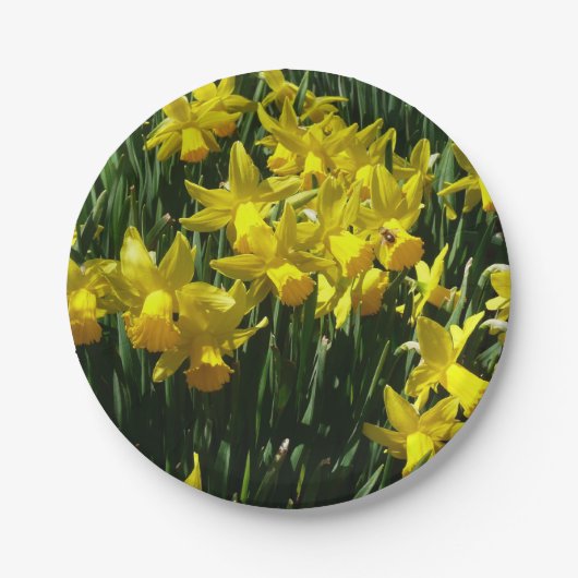 Yellow Daffodien I Cheery Spring Blumen Pappteller (Vorderseite)