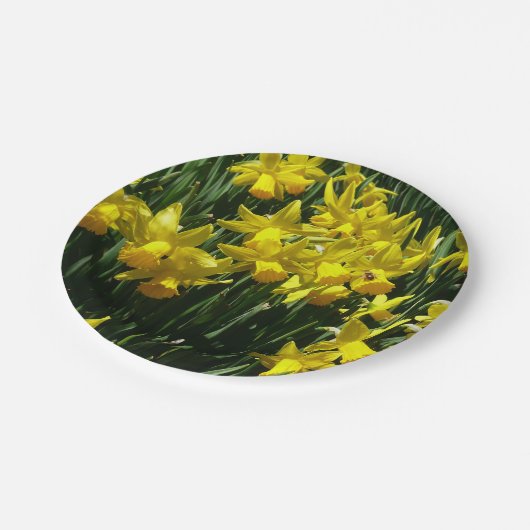 Yellow Daffodien I Cheery Spring Blumen Pappteller (Schrägansicht)