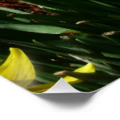 Yellow Daffodien I Cheery Spring Blumen Poster (Ecke)