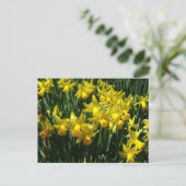 Yellow Daffodien I Cheery Spring Blumen Postkarte (Stehend Vorderseite)