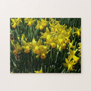 Yellow Daffodien I Cheery Spring Blumen Puzzle
