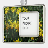 Yellow Daffodien I Cheery Spring Blumen Rahmen-Ornament Silber (Links)