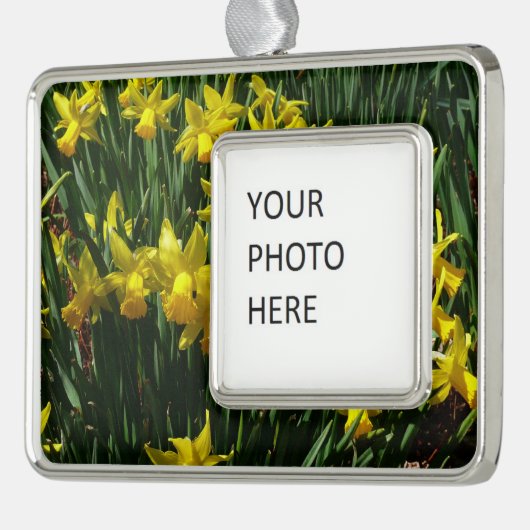 Yellow Daffodien I Cheery Spring Blumen Rahmen-Ornament Silber (Links)