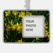 Yellow Daffodien I Cheery Spring Blumen Rahmen-Ornament Silber (Vorderseite)