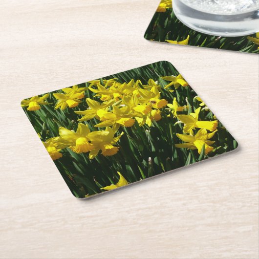 Yellow Daffodien I Cheery Spring Blumen Rechteckiger Pappuntersetzer (angewinkelt)