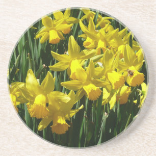 Yellow Daffodien I Cheery Spring Blumen Sandstein Untersetzer