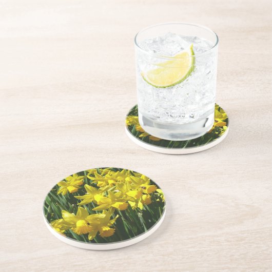 Yellow Daffodien I Cheery Spring Blumen Sandstein Untersetzer (Seite)