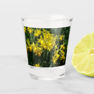 Yellow Daffodien I Cheery Spring Blumen Schnapsglas