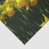 Yellow Daffodien I Cheery Spring Blumen Seidenpapier (Detail)