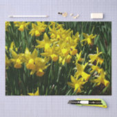 Yellow Daffodien I Cheery Spring Blumen Seidenpapier (Handwerk)