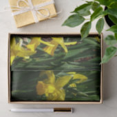 Yellow Daffodien I Cheery Spring Blumen Seidenpapier (Geschenk)